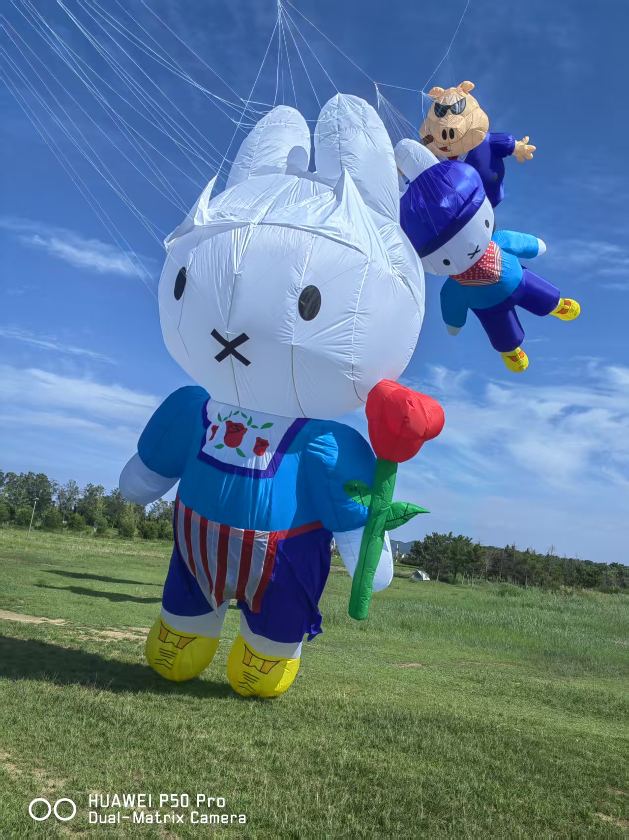宣城市儿童风筝定制风筝加工 - 厂家